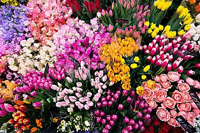 生存恐怖新游《信号》最新预告 复古生化异形风格